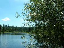 etangroyes